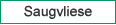 Saugvliese